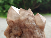 Natural Smokey Phantom Quartz Clusters x 2 From Luena, Congo