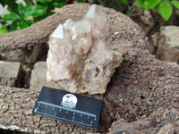 Natural Smokey Phantom Quartz Clusters x 2 From Luena, Congo