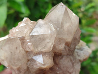 Natural Smokey Phantom Quartz Clusters x 2 From Luena, Congo