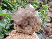 Natural Smokey Phantom Quartz Clusters x 2 From Luena, Congo