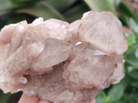 Natural Smokey Phantom Quartz Clusters x 2 From Luena, Congo