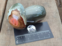 Polished Polychrome Jasper Mushrooms x 4 From Mahajanga, Madagascar