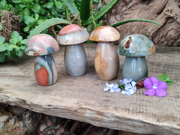 Polished Polychrome Jasper Mushrooms x 4 From Mahajanga, Madagascar