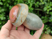 Polished Polychrome Jasper Mushrooms x 4 From Mahajanga, Madagascar