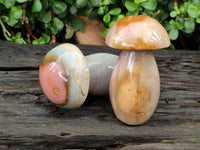 Polished Polychrome Jasper Mushrooms x 4 From Mahajanga, Madagascar