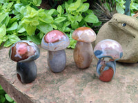 Polished Polychrome Jasper Mushrooms x 4 From Mahajanga, Madagascar