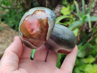 Polished Polychrome Jasper Mushrooms x 4 From Mahajanga, Madagascar