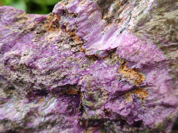 Natural Cobbed Stichtite Specimens x 4 From Barberton, South Africa