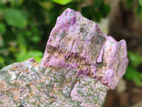 Natural Cobbed Stichtite Specimens x 4 From Barberton, South Africa