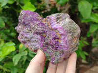 Natural Cobbed Stichtite Specimens x 4 From Barberton, South Africa