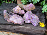 Natural Cobbed Stichtite Specimens x 4 From Barberton, South Africa