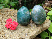 Polished Ocean Jasper Eggs x 10 From Marovato, Madagascar