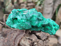 Natural Silky Malachite Specimens x 3 From Kasompe, Congo