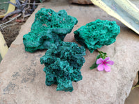 Natural Silky Malachite Specimens x 3 From Kasompe, Congo