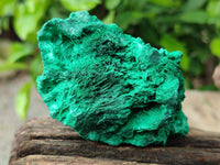 Natural Silky Malachite Specimens x 3 From Kasompe, Congo