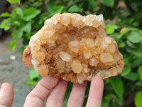 Natural Limonite Quartz Clusters x 4 From Mwinilunga, Zambia