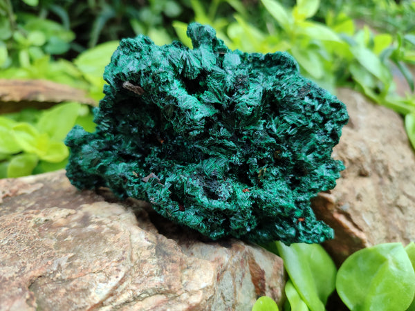 Natural Silky Malachite Specimens x 4 From Kasompe, Congo