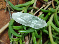 Natural Single Quartz Crystals x 63 From Mpika, Zambia