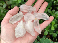 Natural Single Quartz Crystals x 63 From Mpika, Zambia