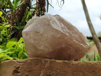 Polished Partially Double Terminated Smokey Arcadian Quartz Crystal x 1 From Angola