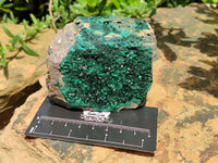 Natural Botryoidal Malachite Plate Specimens x 6 From Tenke Fungurume, Congo