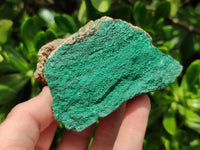 Natural Botryoidal Malachite Plate Specimens x 6 From Tenke Fungurume, Congo