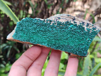 Natural Botryoidal Malachite Plate Specimens x 6 From Tenke Fungurume, Congo