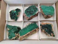 Natural Botryoidal Malachite Plate Specimens x 6 From Tenke Fungurume, Congo