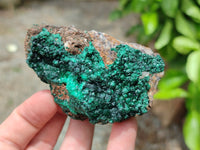 Natural Botryoidal Malachite Plate Specimens x 6 From Tenke Fungurume, Congo