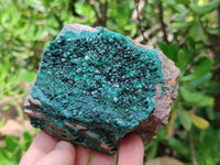 Natural Botryoidal Malachite Plate Specimens x 6 From Tenke Fungurume, Congo