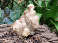 Natural Drusy Quartz Coated Calcite Pseudomorph Specimens x 6 From Alberts Mountain, Lesotho