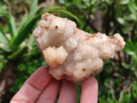 Natural Drusy Quartz Coated Calcite Pseudomorph Specimens x 6 From Alberts Mountain, Lesotho