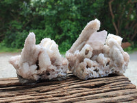 Natural Drusy Quartz Coated Calcite Pseudomorph Specimens x 6 From Alberts Mountain, Lesotho