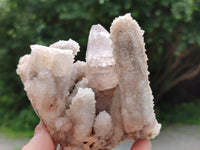 Natural Drusy Quartz Coated Calcite Pseudomorph Specimens x 6 From Alberts Mountain, Lesotho