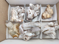 Natural Drusy Quartz Coated Calcite Pseudomorph Specimens x 6 From Alberts Mountain, Lesotho