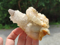 Natural Drusy Quartz Coated Calcite Pseudomorph Specimens x 6 From Alberts Mountain, Lesotho