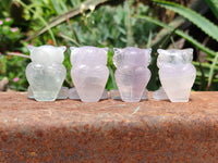 Polished Mini Rainbow Fluorite Owl Carvings - sold per item - From Uis, Namibia