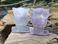 Polished Mini Rainbow Fluorite Owl Carvings - sold per item - From Uis, Namibia