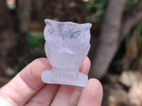 Polished Mini Rainbow Fluorite Owl Carvings - sold per item - From Uis, Namibia