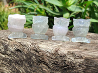 Polished Mini Rainbow Fluorite Owl Carvings - sold per item - From Uis, Namibia