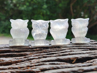 Polished Mini Rainbow Fluorite Owl Carvings - sold per item - From Uis, Namibia