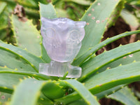 Polished Mini Rainbow Fluorite Owl Carvings - sold per item - From Uis, Namibia