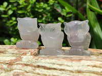 Polished Mini Rainbow Fluorite Owl Carvings - sold per item - From Uis, Namibia