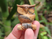 Polished Small Namibian Desert Picture Stone Jasper Owl Carving - sold per item - From Namibia