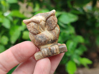 Polished Small Namibian Desert Picture Stone Jasper Owl Carving - sold per item - From Namibia