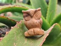 Polished Small Namibian Desert Picture Stone Jasper Owl Carving - sold per item - From Namibia