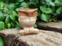 Polished Small Namibian Desert Picture Stone Jasper Owl Carving - sold per item - From Namibia