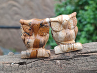 Polished Small Namibian Desert Picture Stone Jasper Owl Carving - sold per item - From Namibia