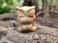 Polished Small Namibian Desert Picture Stone Jasper Owl Carving - sold per item - From Namibia