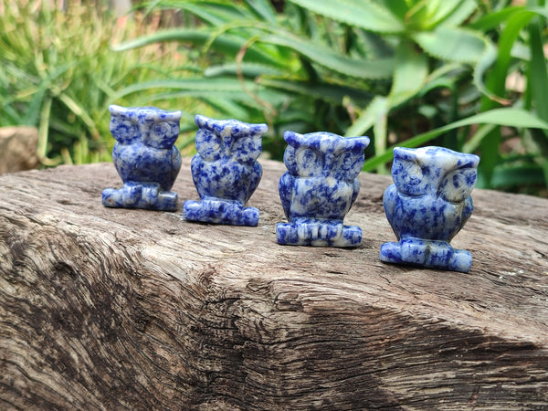 Polished Sodalite Owl Carvings - sold per item - From Namibia